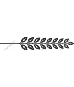  Elegant leafy branch