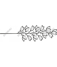  Elegant branch of leaves