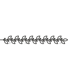  Elegant black branch with leaves
