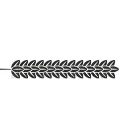  Elegant pattern of leaves