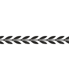  Elegant sheet