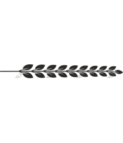  Elegant branch of leaves
