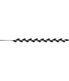  Elegant sheet