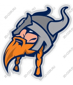 Viking-warrior