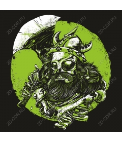  The skeleton of a Viking