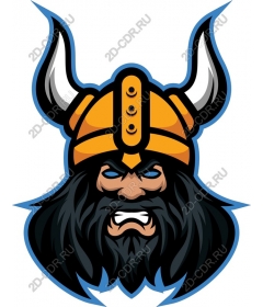 Viking-warrior