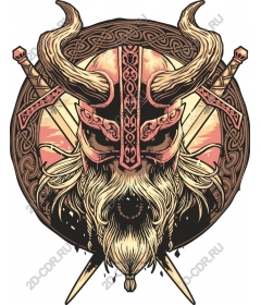 Viking-warrior