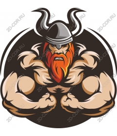 Viking-warrior