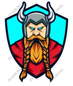 Viking-warrior