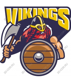 Viking-warrior