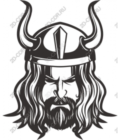 Viking-warrior