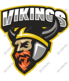  A ferocious Viking warrior