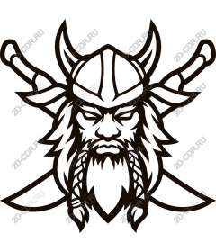 Viking-warrior