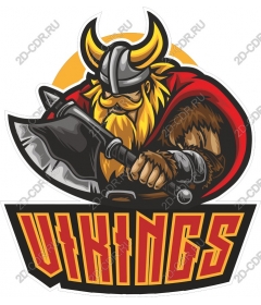 Viking-warrior
