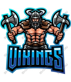 Viking-warrior