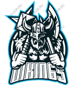 Viking-warrior