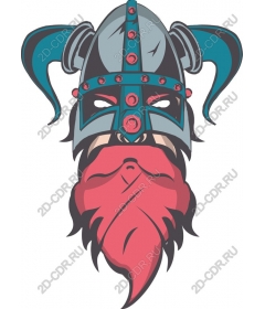 Viking-warrior