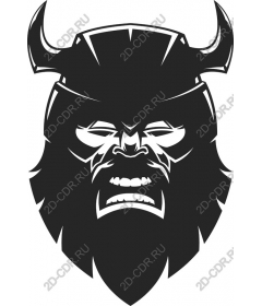 Viking-warrior