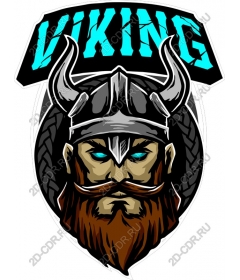Viking-warrior