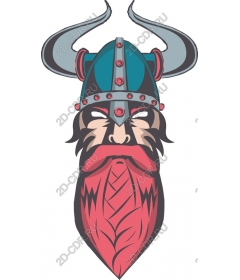 Viking-warrior