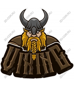  A ferocious Viking warrior