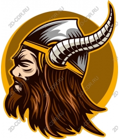 Viking-warrior