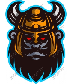 Viking-warrior