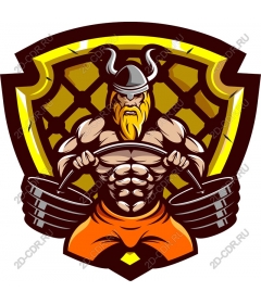  Fitness for the warriors Vikings