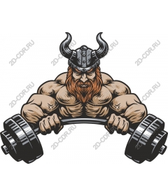 The strength of the muscles of the Vikings