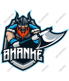 Viking-warrior