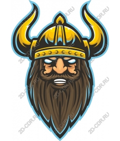 Viking-warrior