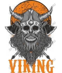 Viking-warrior