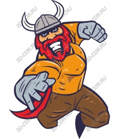 Viking-warrior