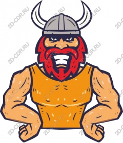 Viking-warrior