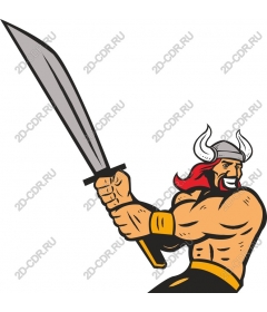 Viking-warrior