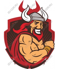 Viking-warrior