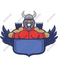 The power of the warrior, Viking