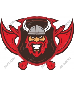 Viking-warrior