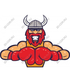 Ferocious Viking-boxer