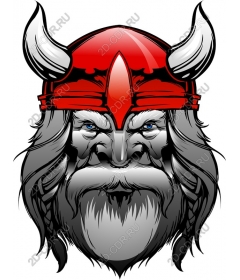 Viking-warrior