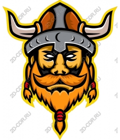 Viking-warrior