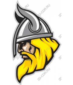 Viking-warrior