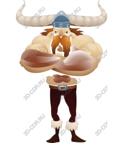Viking-warrior