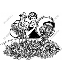 The joy of the harvest: the grapes