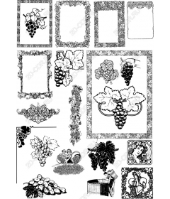 Набор клипартов «Виноградная лоза»: Элегантный s