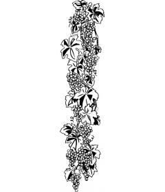  Vine