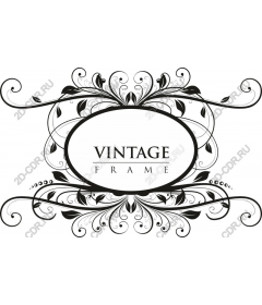 Vintage frame