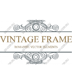 Vintage frame