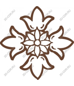  Elegant floral motif