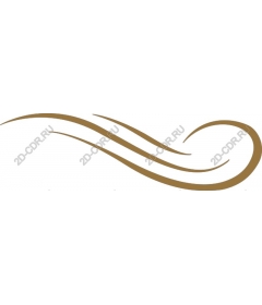  Elegant sleek lines